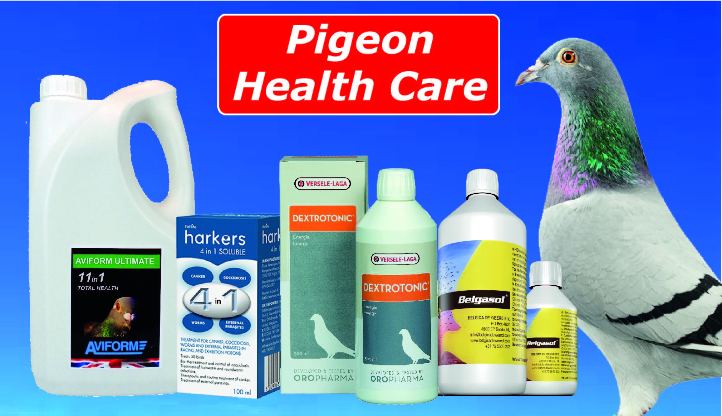 Pigeon Supplements